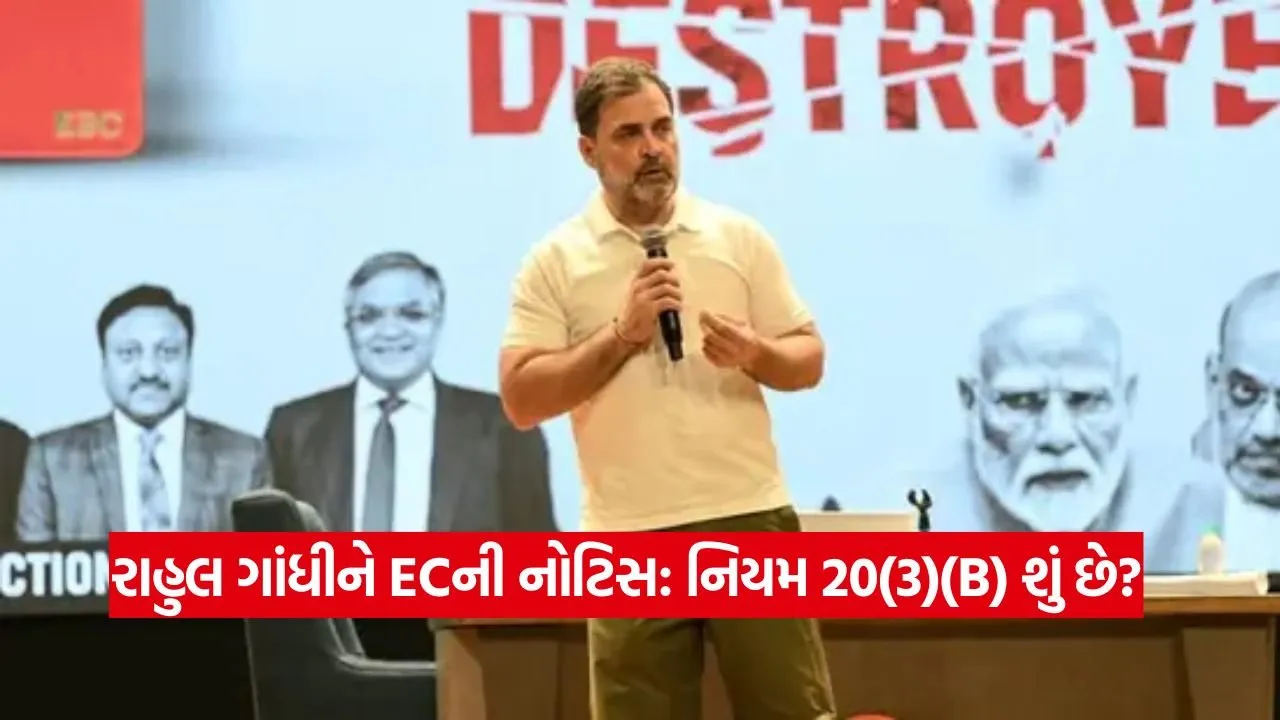 Rahul Gandhi 0808.jpg