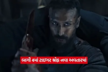 baagi