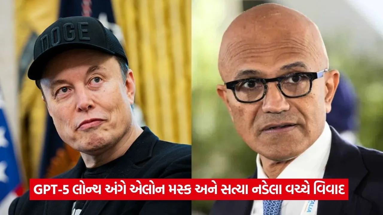 elon nel 13.jpg