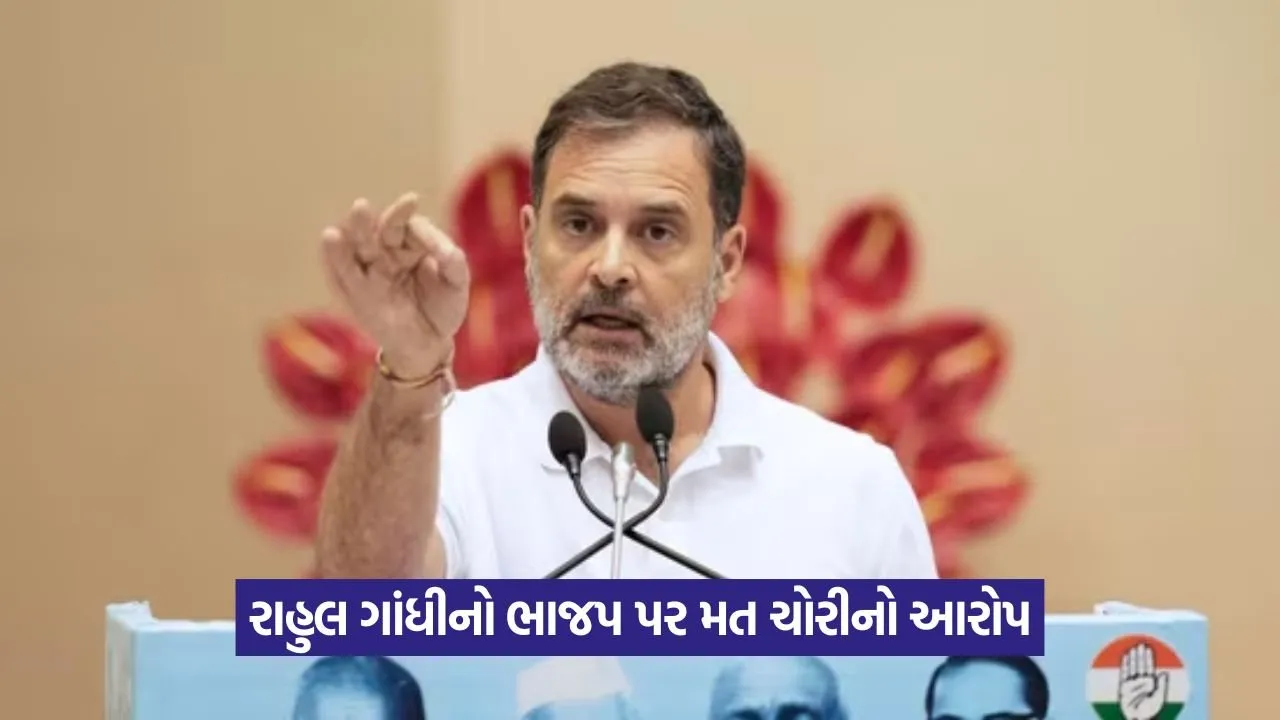 Rahul Gandhi 0708.jpg