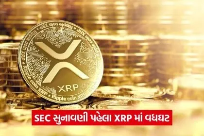 xrp 33337