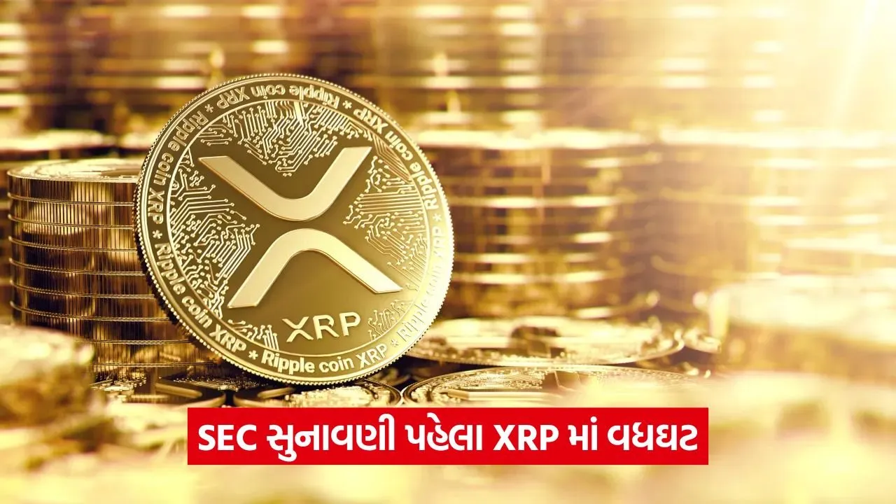xrp 33337.jpg