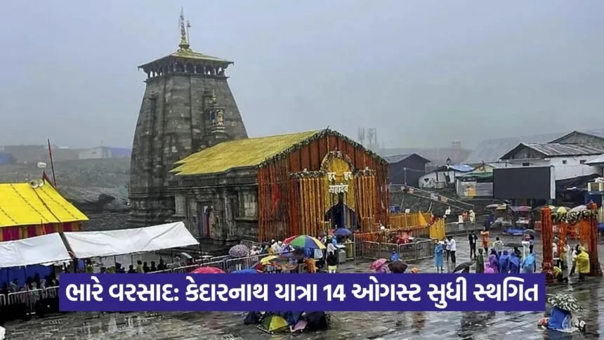 Kedarnath 1208
