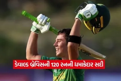 Dewald Brewis 1208