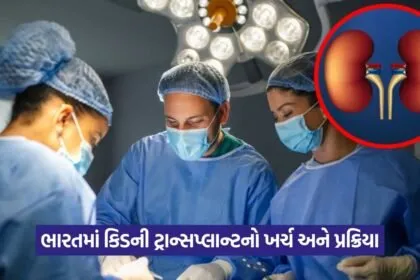 Kidney 1308