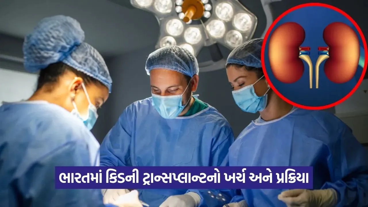 ભારતમાં કિડની ટ્રાન્સપ્લાન્ટ: ખર્ચ, પ્રક્રિયા અને દાતાના જીવનકાળ વિશે સંપૂર્ણ માહિતી 23 Kidney 1308.jpg