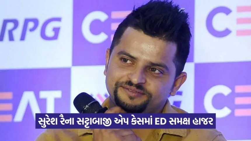 Suresh raina 1308