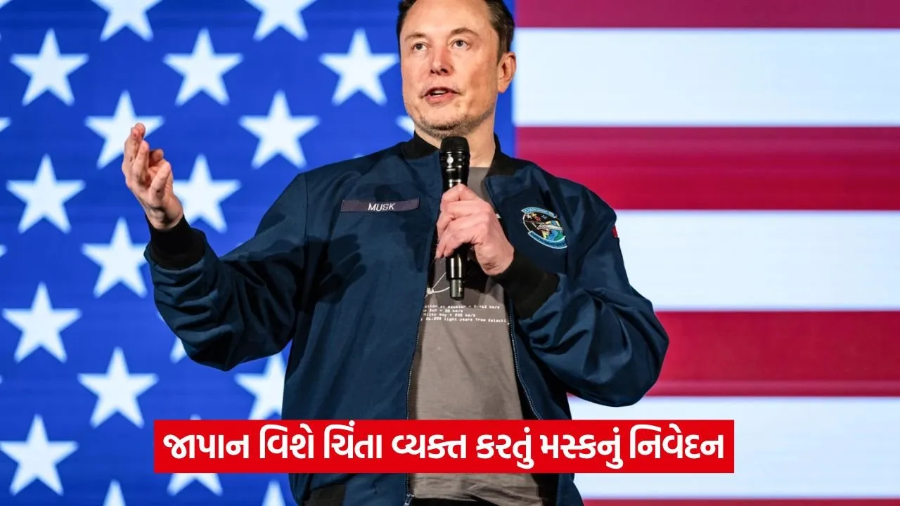 elon 34.jpg