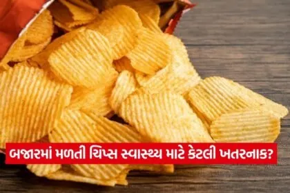 Chips 1308