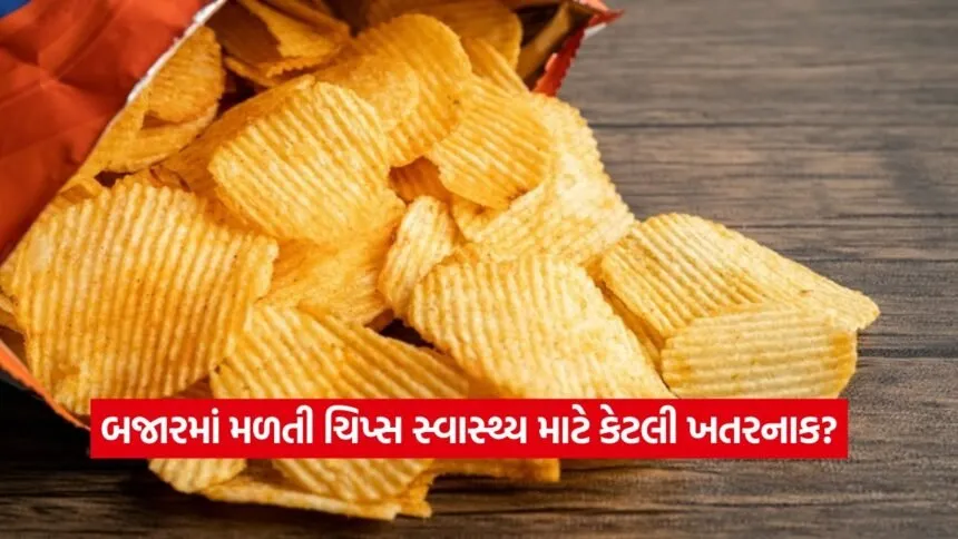Chips 1308