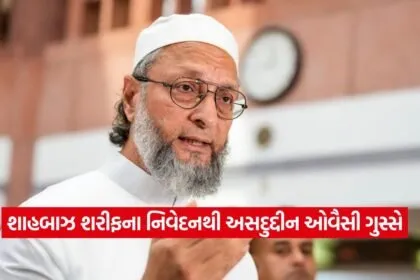 Owaisi 1308