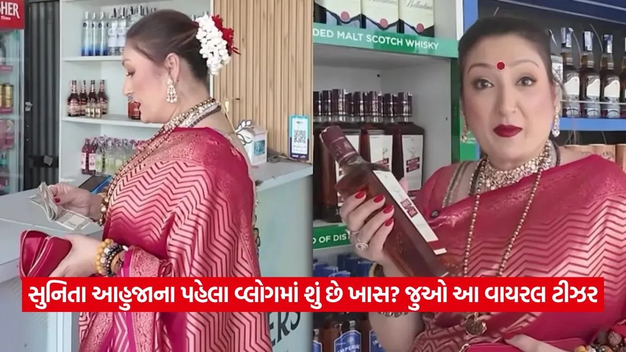 ગોવિંદાની પત્ની સુનિતા આહુજાએ શરૂ કર્યું વ્લોગિંગ, પહેલા જ વીડિયોમાં થયો વિવાદ! 22 video.jpg