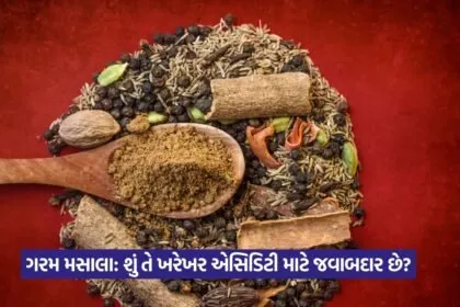 Gram masala