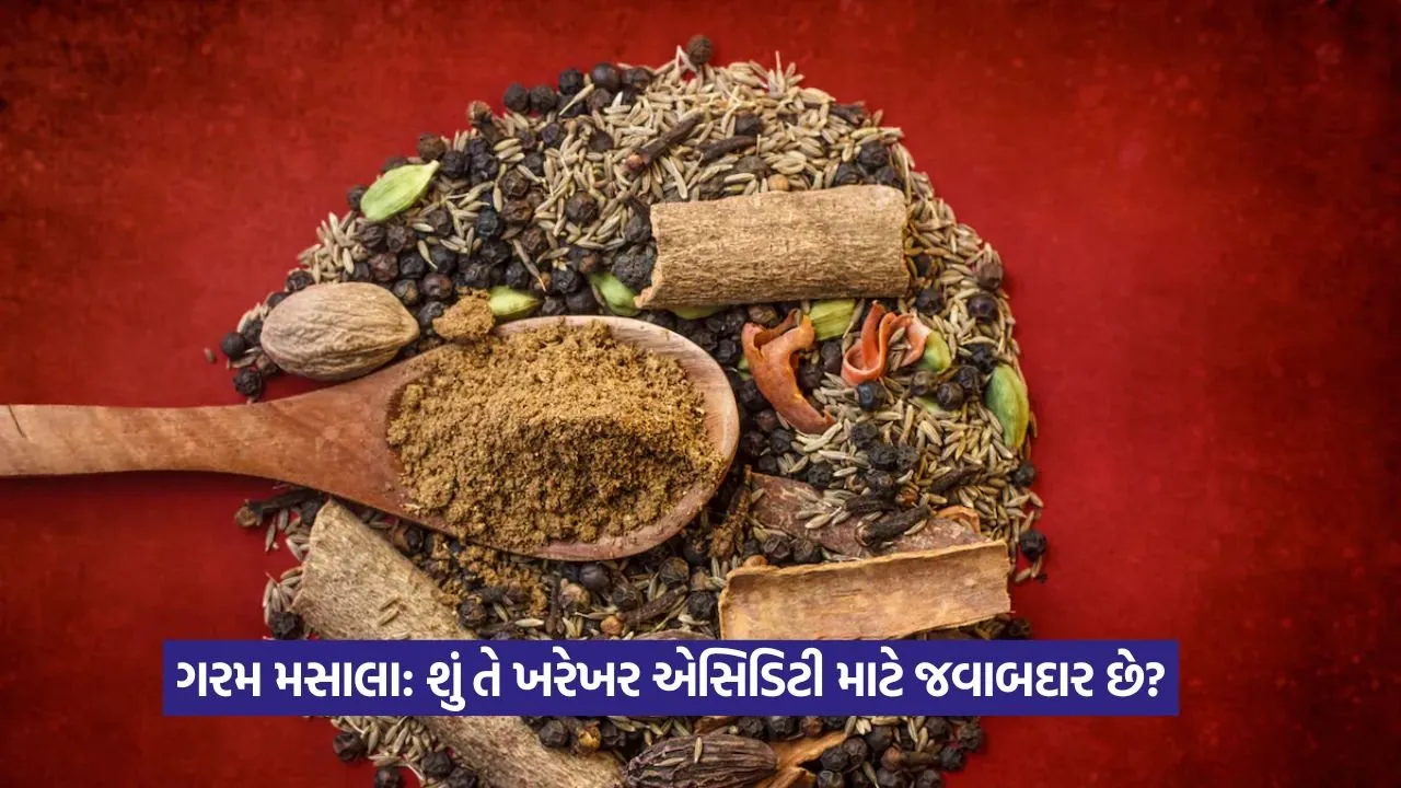 ગરમ મસાલા એસિડિટીનું કારણ કેમ બને છે? ડાયેટિશિયને ખોલી વાસ્તવિકતા, જાણો તેના ઉપાય 22 Gram masala.jpg