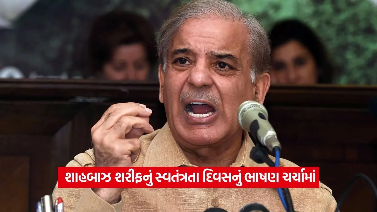 પાકિસ્તાને ફરી આલાપ્યો ભારત વિરોધી રાગ: શાહબાઝ શરીફે સ્વતંત્રતા દિવસે ચેતવણી આપી 22 parkistan 2.jpg