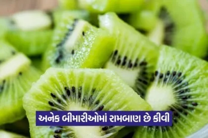 Kiwi 1508