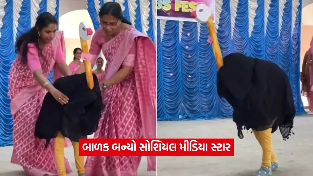 Video: શાળાના કાર્યક્રમમાં શાહમૃગના વેશમાં આ બાળકે મચાવી ધમાલ, વીડિયો થયો વાયરલ 22 video 23.jpg