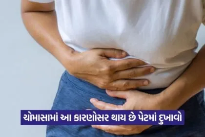 Stomach 1508