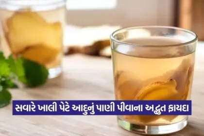 Ginger Water 1508
