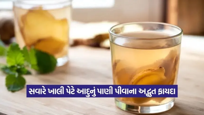 Ginger Water 1508