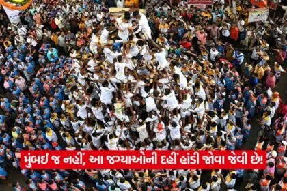 dahi handi