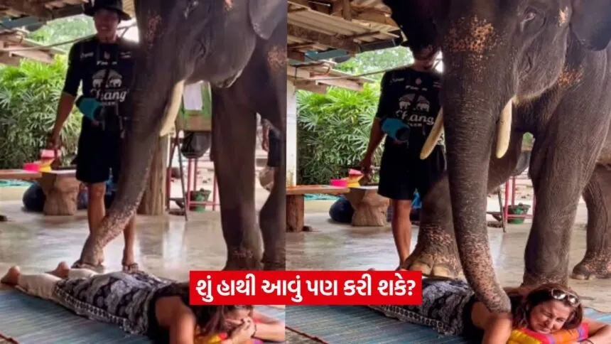 hathi