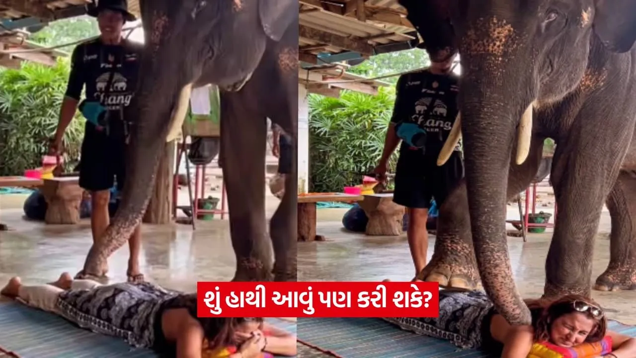 hathi.jpg