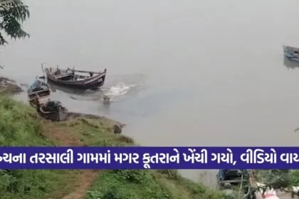 Bharuch 1608