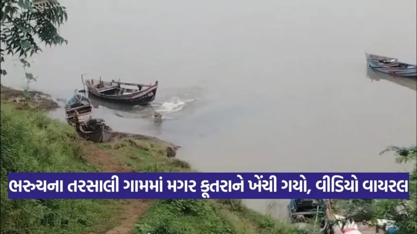 Bharuch 1608