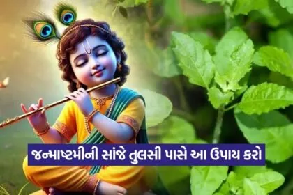 Krishna 1608
