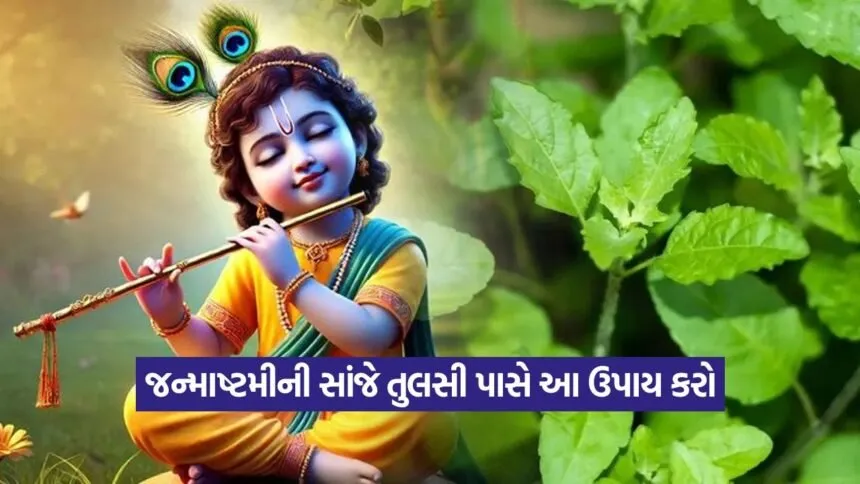 Krishna 1608