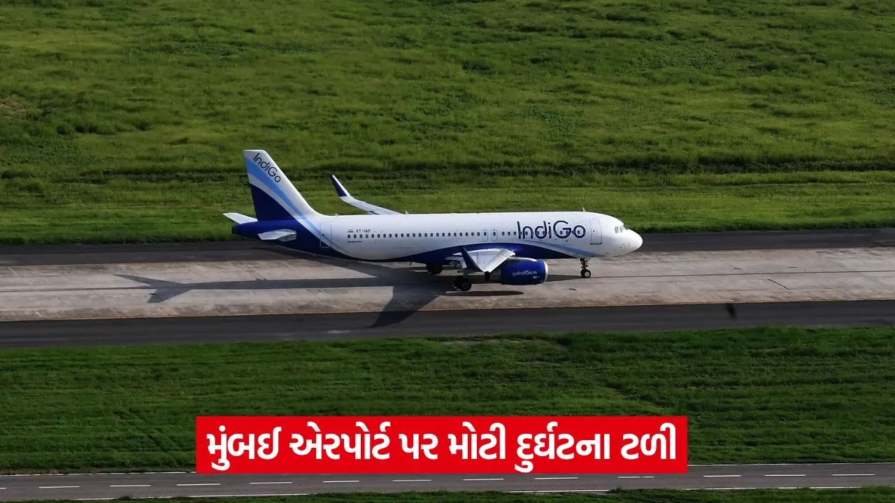 indigo 43.jpg