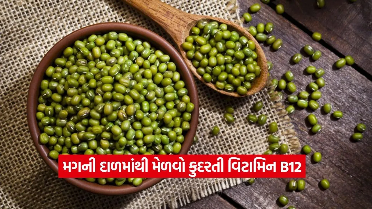 મગની દાળ: વિટામિન B12ની ઉણપ દૂર કરવાનો કુદરતી અને સરળ ઉપાય 22 Mung 1708.jpg