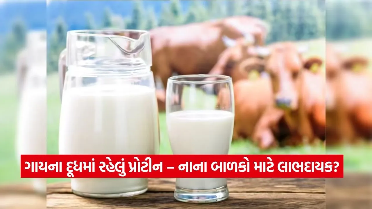 શું ગાયનું દૂધ ટાઇપ-1 ડાયાબિટીસનું કારણ બને છે? જાણો નિષ્ણાતો શું કહે છે 22 Milk 1708.jpg