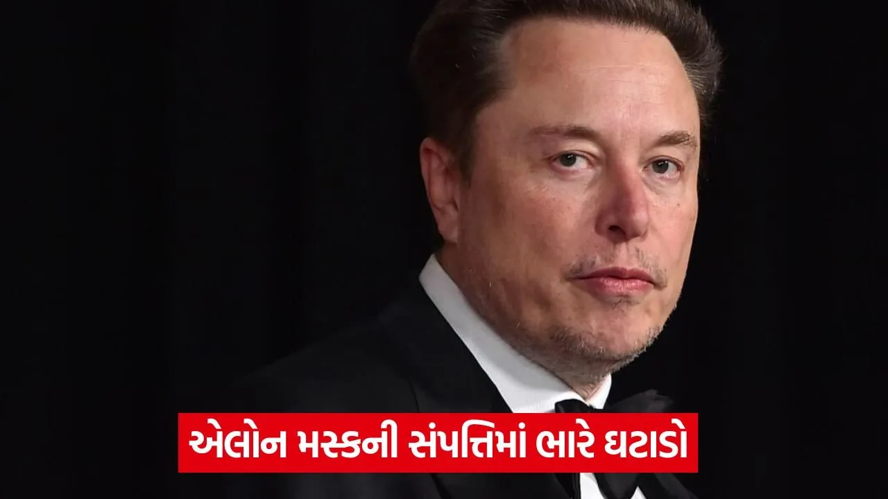elon 43.jpg