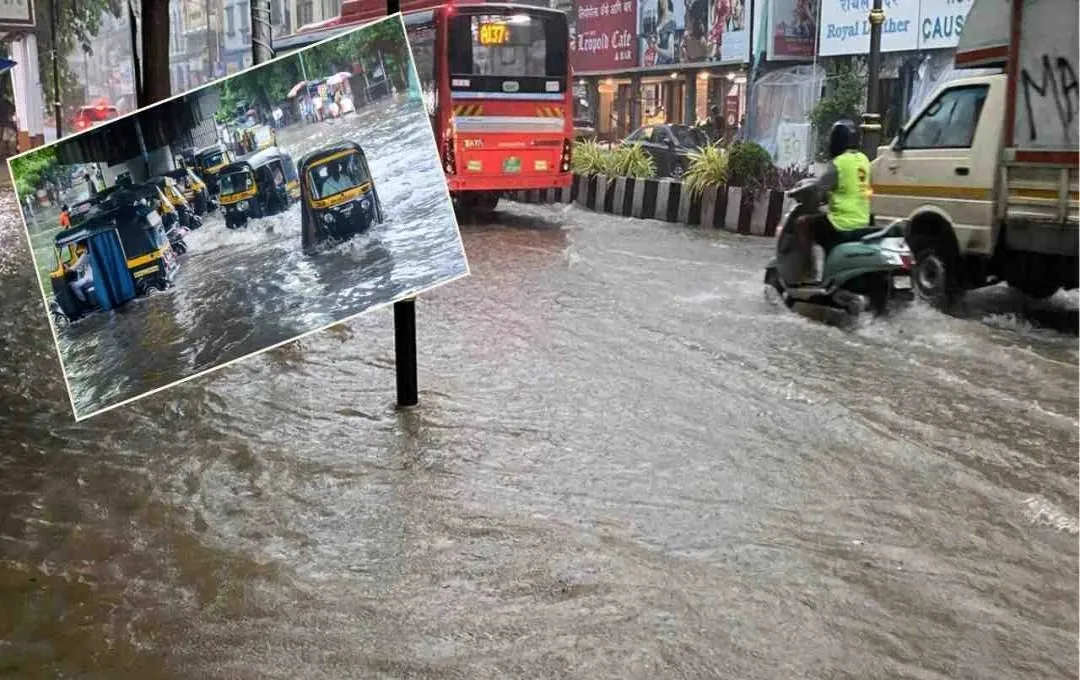 Rain.jpg