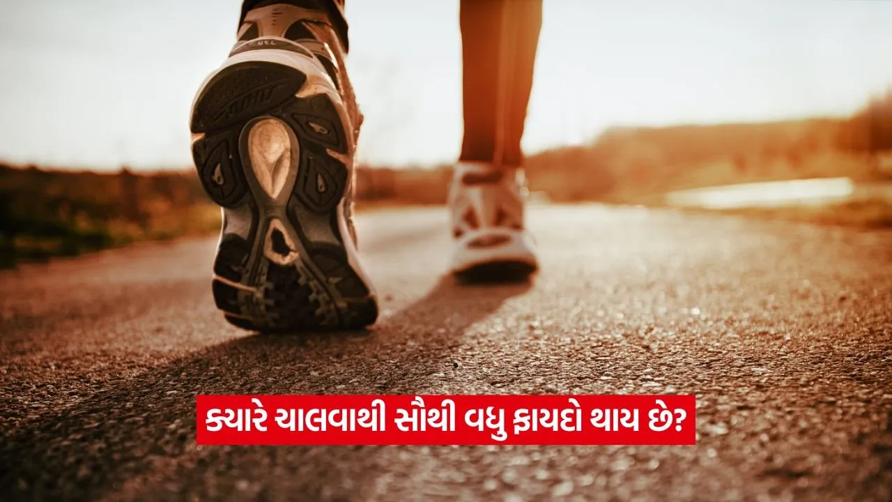 walk.jpg