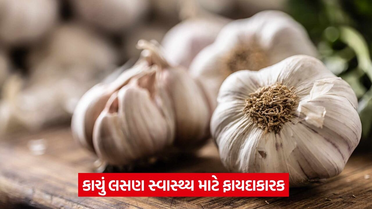 garlic 54.jpg