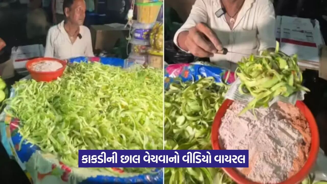 Video: કચરામાંથી કમાણી: કાકડીની છાલ વેચવાનો વીડિયો વાયરલ, આ જોયા પછી લોકોએ શું કહ્યું? 22 kakdi.jpg