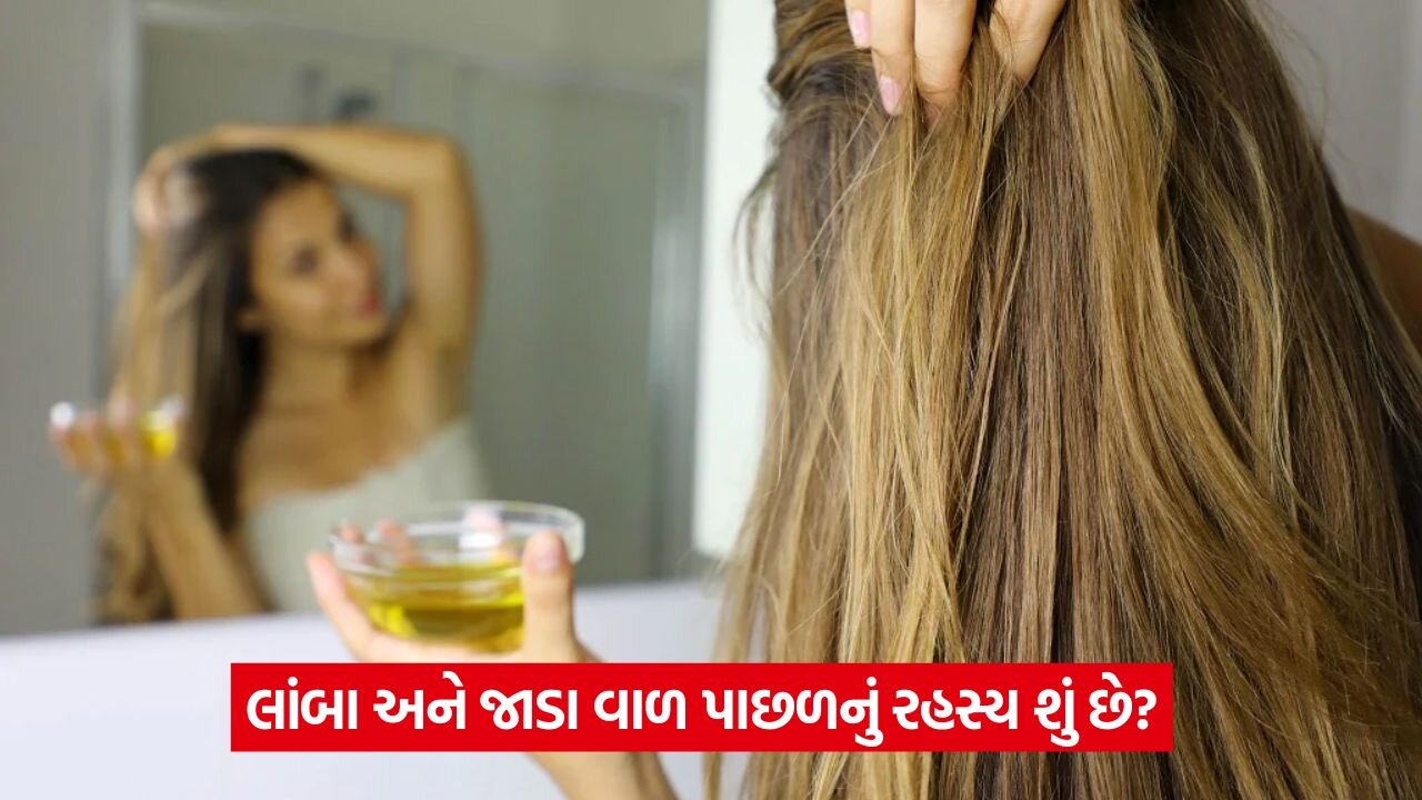 લાંબા વાળનું રહસ્ય: દાદીમાના ઘરેલું ઉપચાર 18 hair care 54.jpg