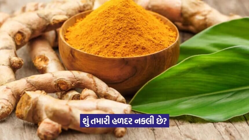 haldi 1