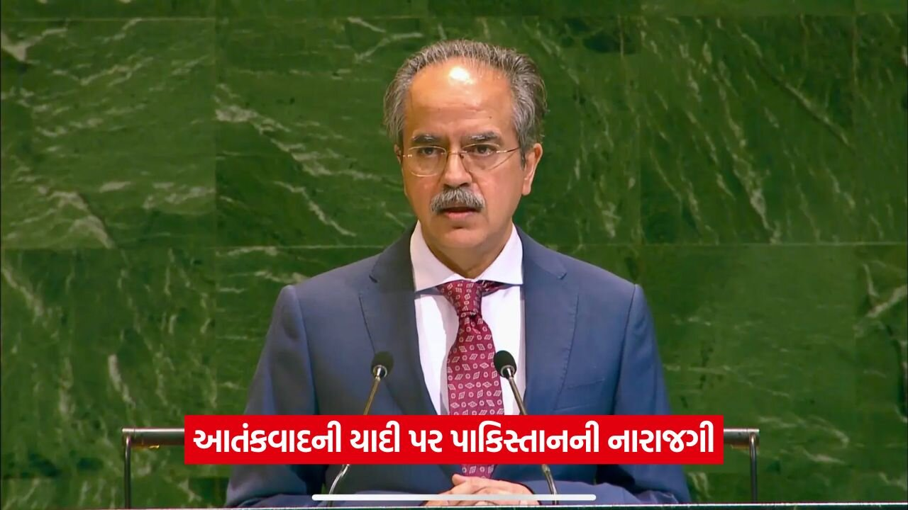 UNSCની બેઠકમાં પાકિસ્તાનનો મોટો આરોપ: 'આતંકવાદીઓની યાદીમાં માત્ર મુસ્લિમ નામો' 18 park.jpg