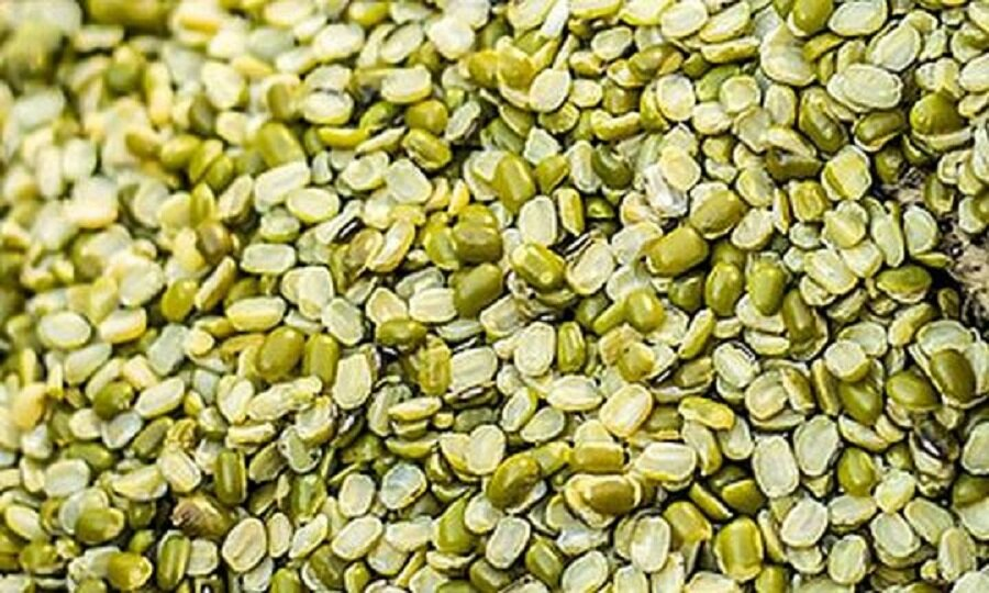 દાળ ખાવાના 5 નિયમો: જાણો કઈ દાળ ક્યારે ખાવી અને કઈ ટાળવી 3 dal.jpg