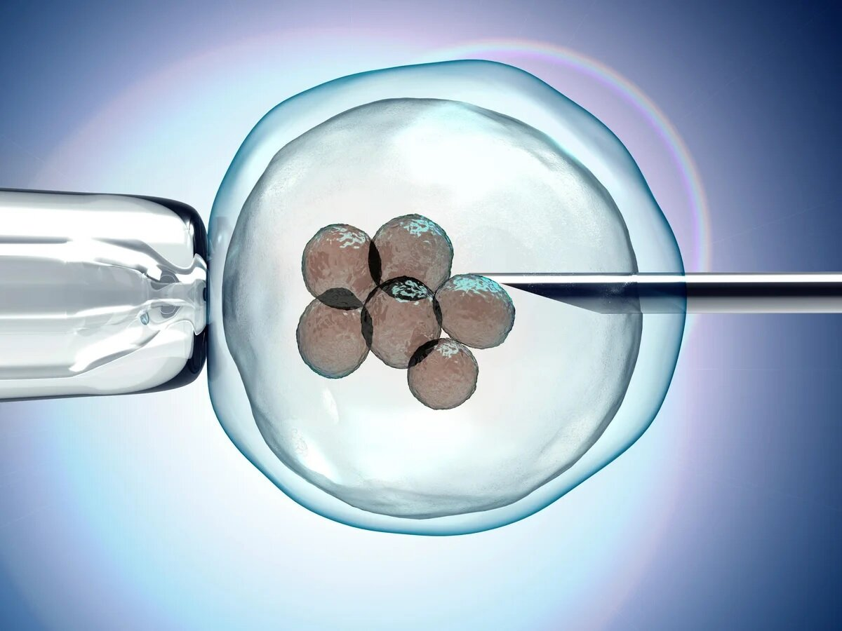 એગ ફ્રીઝિંગ વિશે સંપૂર્ણ માહિતી જાણો 2 egg 2.jpg