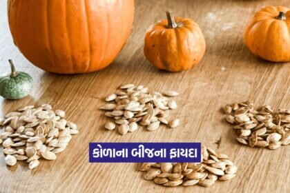 Pumpkin 2308