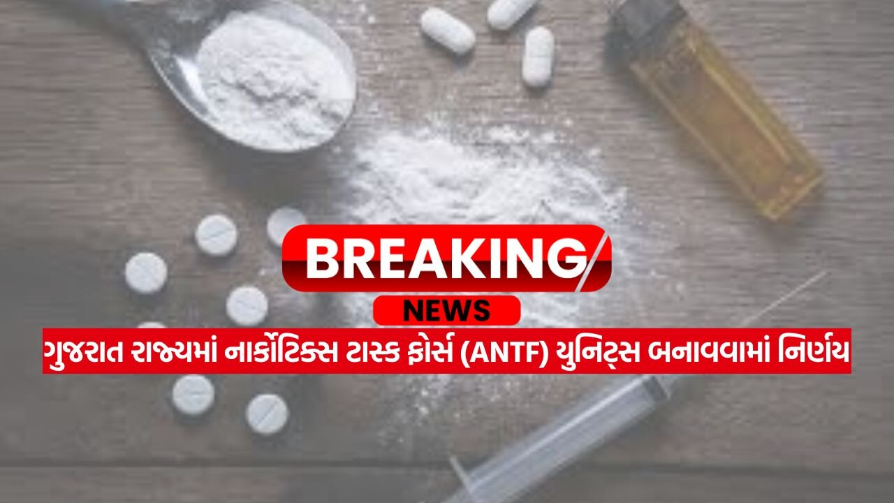 IMG 20250825 WA0007.jpg