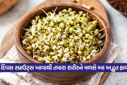 Sprouts 2508