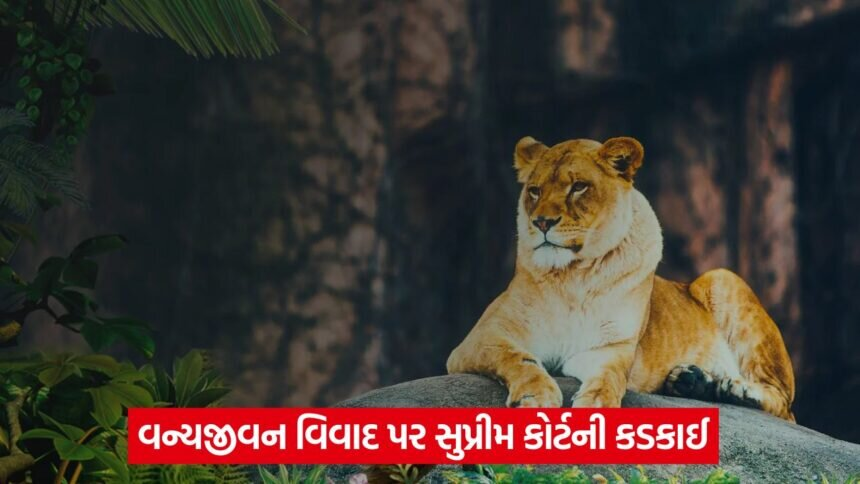 vantara india