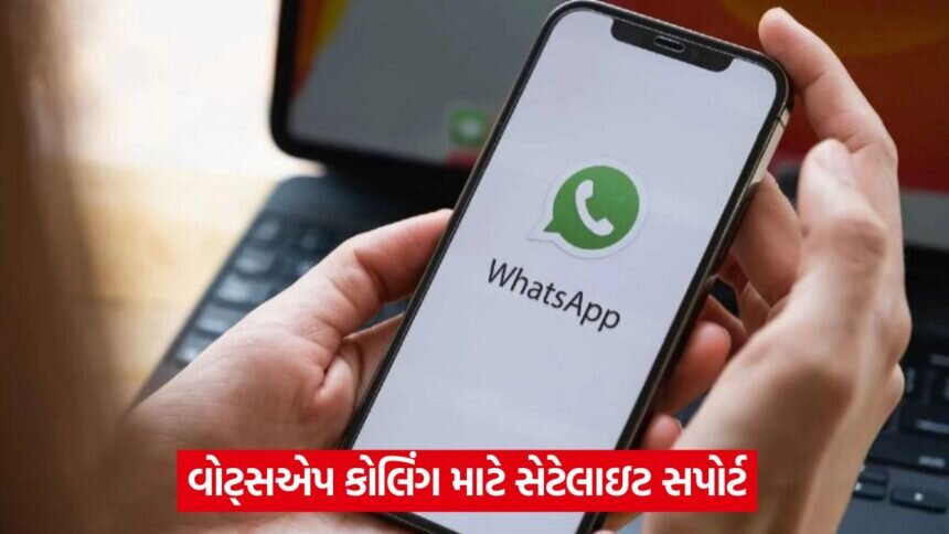 whatsapp 43
