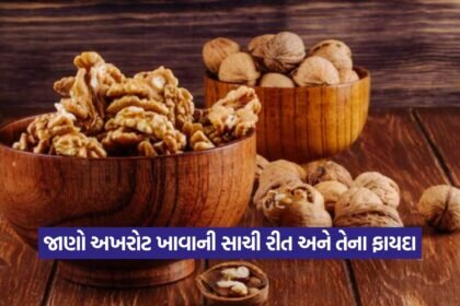 Walnut 2608